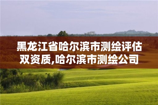 黑龙江省哈尔滨市测绘评估双资质,哈尔滨市测绘公司