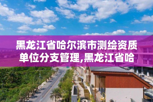 黑龙江省哈尔滨市测绘资质单位分支管理,黑龙江省哈尔滨市测绘局