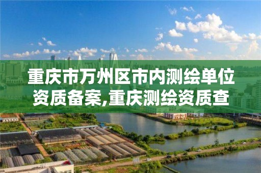 重庆市万州区市内测绘单位资质备案,重庆测绘资质查询