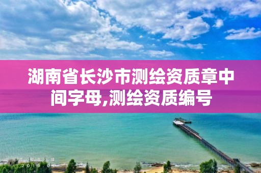 湖南省长沙市测绘资质章中间字母,测绘资质编号