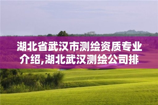 湖北省武汉市测绘资质专业介绍,湖北武汉测绘公司排行榜