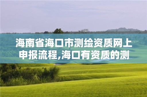 海南省海口市测绘资质网上申报流程,海口有资质的测绘公司