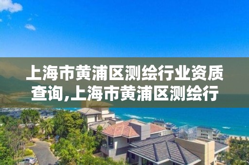 上海市黄浦区测绘行业资质查询,上海市黄浦区测绘行业资质查询网