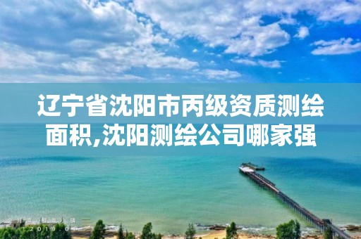 辽宁省沈阳市丙级资质测绘面积,沈阳测绘公司哪家强哪家好