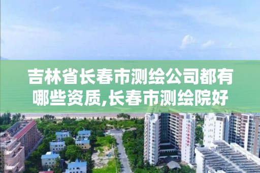 吉林省长春市测绘公司都有哪些资质,长春市测绘院好进么