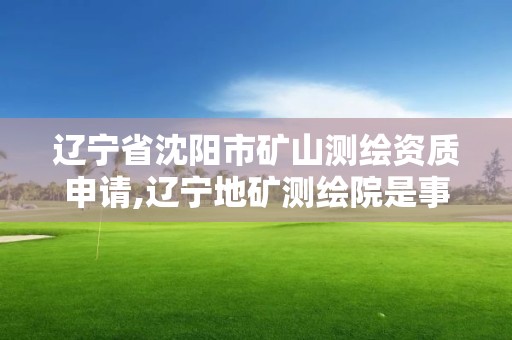 辽宁省沈阳市矿山测绘资质申请,辽宁地矿测绘院是事业单位吗