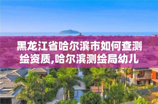 黑龙江省哈尔滨市如何查测绘资质,哈尔滨测绘局幼儿园是民办还是公办