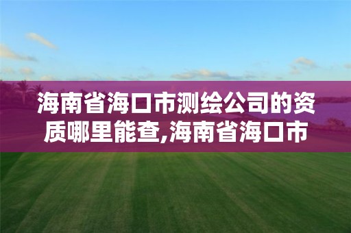 海南省海口市测绘公司的资质哪里能查,海南省海口市测绘公司的资质哪里能查询到。