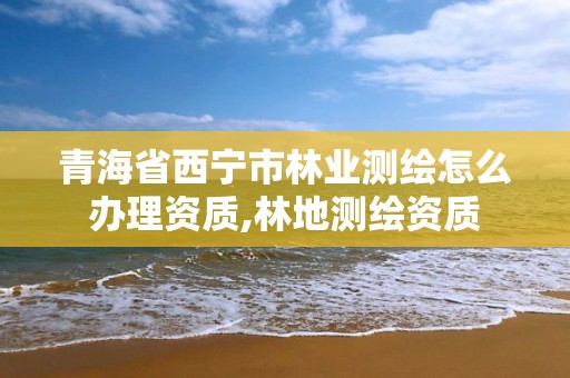 青海省西宁市林业测绘怎么办理资质,林地测绘资质