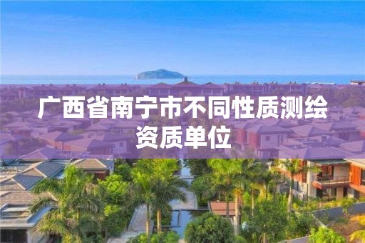 广西省南宁市不同性质测绘资质单位