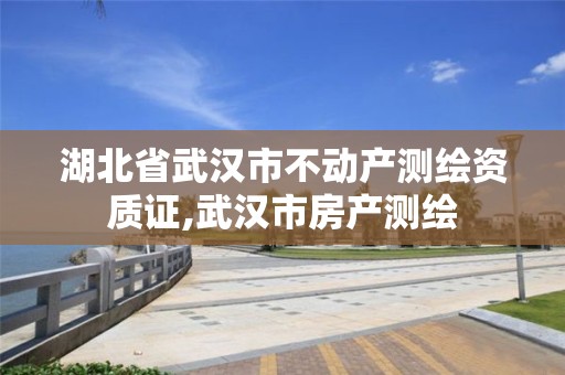 湖北省武汉市不动产测绘资质证,武汉市房产测绘