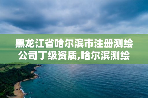 黑龙江省哈尔滨市注册测绘公司丁级资质,哈尔滨测绘局工资怎么样