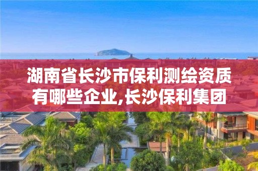 湖南省长沙市保利测绘资质有哪些企业,长沙保利集团招聘