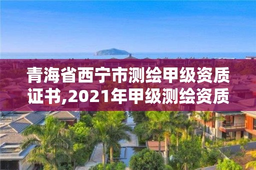 青海省西宁市测绘甲级资质证书,2021年甲级测绘资质