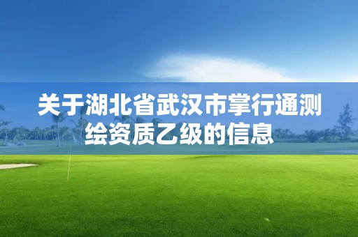 关于湖北省武汉市掌行通测绘资质乙级的信息