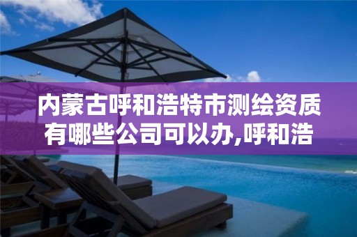 内蒙古呼和浩特市测绘资质有哪些公司可以办,呼和浩特市测绘仪器店。