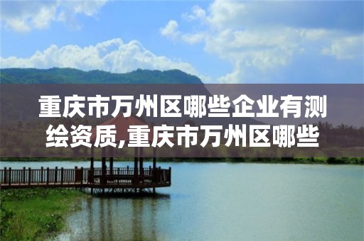 重庆市万州区哪些企业有测绘资质,重庆市万州区哪些企业有测绘资质的公司