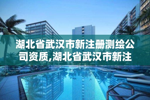 湖北省武汉市新注册测绘公司资质,湖北省武汉市新注册测绘公司资质有哪些