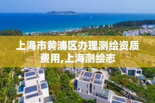 上海市黄浦区办理测绘资质费用,上海测绘志