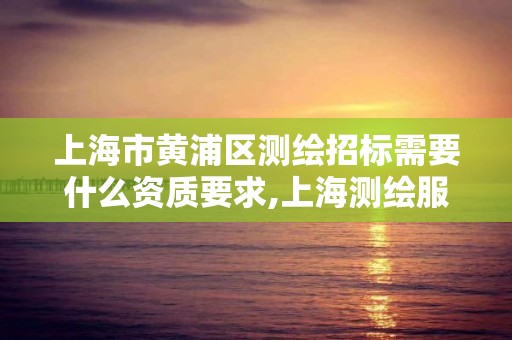 上海市黄浦区测绘招标需要什么资质要求,上海测绘服务中心。