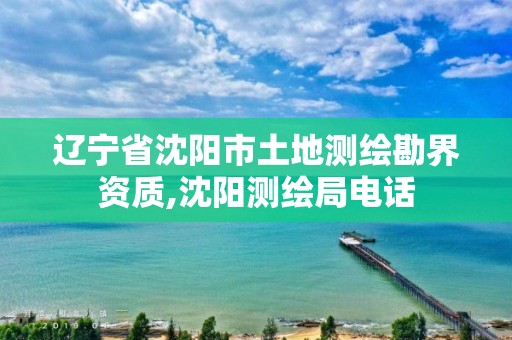 辽宁省沈阳市土地测绘勘界资质,沈阳测绘局电话