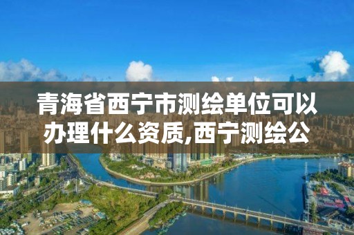 青海省西宁市测绘单位可以办理什么资质,西宁测绘公司。