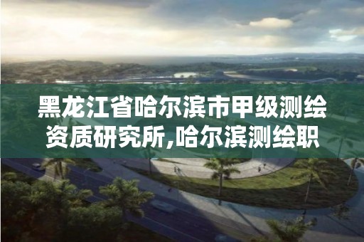 黑龙江省哈尔滨市甲级测绘资质研究所,哈尔滨测绘职工中等专业学校。