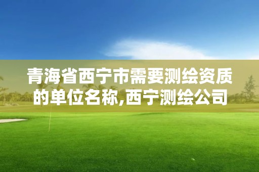 青海省西宁市需要测绘资质的单位名称,西宁测绘公司有哪些。