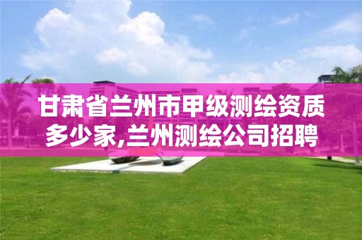 甘肃省兰州市甲级测绘资质多少家,兰州测绘公司招聘信息