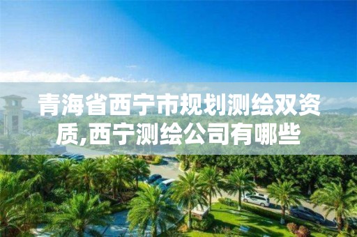 青海省西宁市规划测绘双资质,西宁测绘公司有哪些