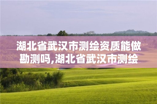 湖北省武汉市测绘资质能做勘测吗,湖北省武汉市测绘资质能做勘测吗知乎