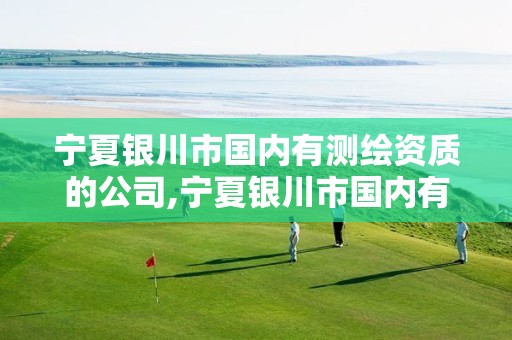 宁夏银川市国内有测绘资质的公司,宁夏银川市国内有测绘资质的公司有哪些