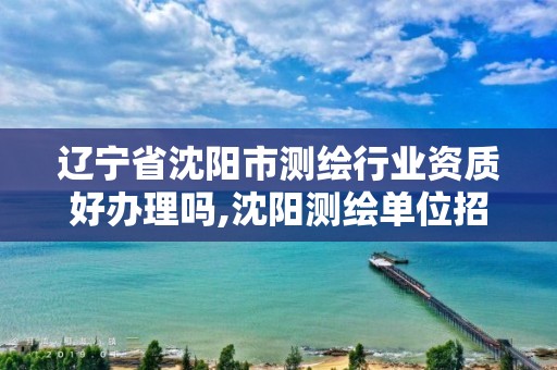 辽宁省沈阳市测绘行业资质好办理吗,沈阳测绘单位招聘