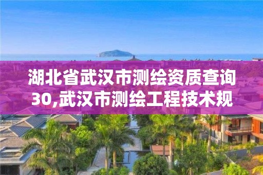 湖北省武汉市测绘资质查询30,武汉市测绘工程技术规定