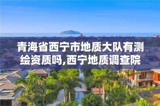 青海省西宁市地质大队有测绘资质吗,西宁地质调查院