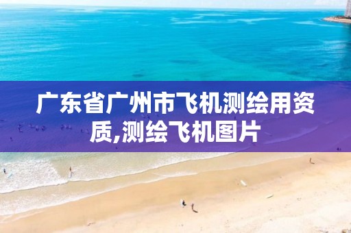 广东省广州市飞机测绘用资质,测绘飞机图片