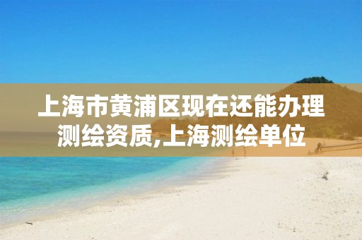 上海市黄浦区现在还能办理测绘资质,上海测绘单位