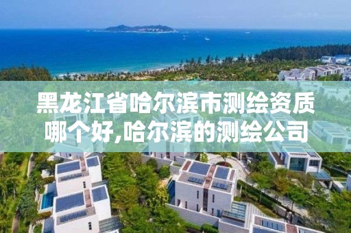 黑龙江省哈尔滨市测绘资质哪个好,哈尔滨的测绘公司有哪些