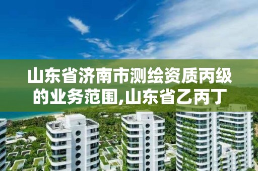 山东省济南市测绘资质丙级的业务范围,山东省乙丙丁级测绘资质专业标准。