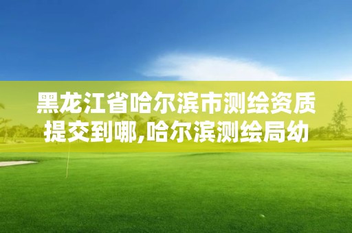 黑龙江省哈尔滨市测绘资质提交到哪,哈尔滨测绘局幼儿园是民办还是公办