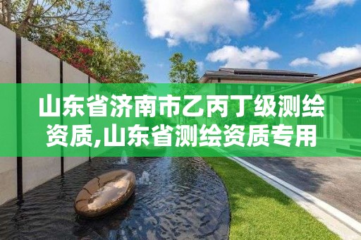 山东省济南市乙丙丁级测绘资质,山东省测绘资质专用章 丁级