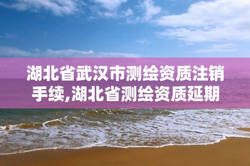 湖北省武汉市测绘资质注销手续,湖北省测绘资质延期一年