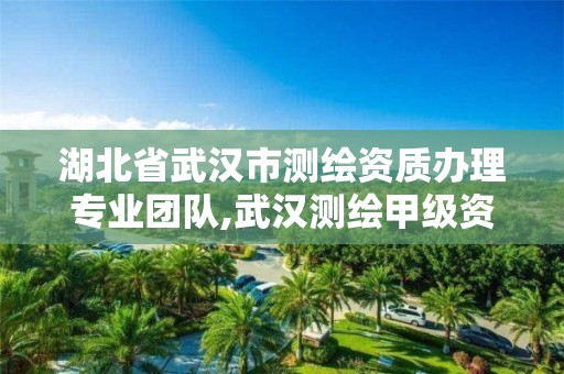 湖北省武汉市测绘资质办理专业团队,武汉测绘甲级资质公司