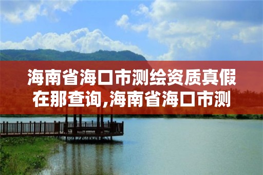 海南省海口市测绘资质真假在那查询,海南省海口市测绘资质真假在那查询结果