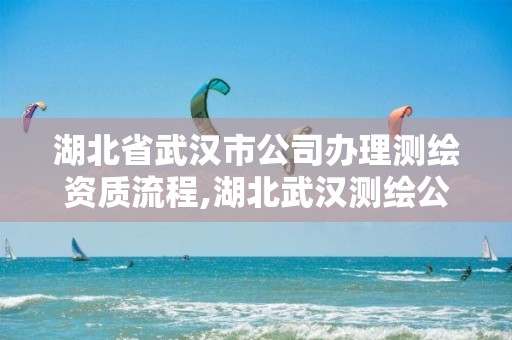 湖北省武汉市公司办理测绘资质流程,湖北武汉测绘公司排行榜