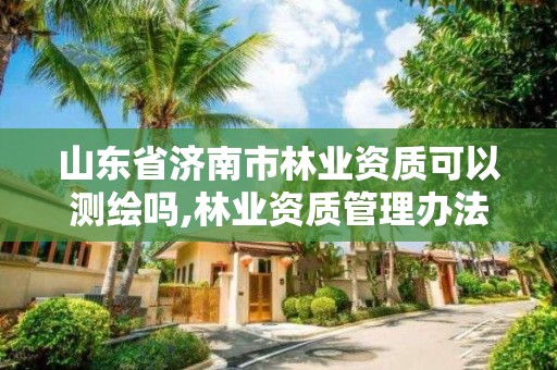 山东省济南市林业资质可以测绘吗,林业资质管理办法