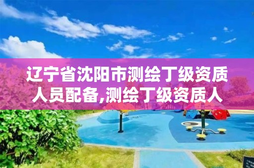 辽宁省沈阳市测绘丁级资质人员配备,测绘丁级资质人员条件