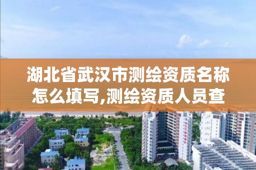 湖北省武汉市测绘资质名称怎么填写,测绘资质人员查询系统