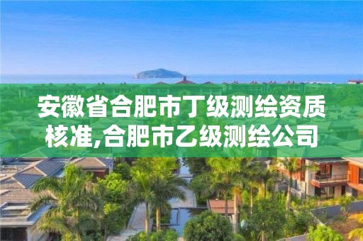 安徽省合肥市丁级测绘资质核准,合肥市乙级测绘公司。