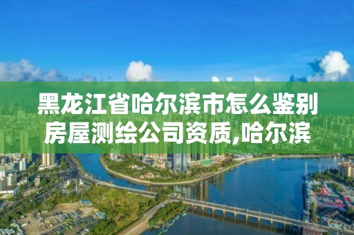 黑龙江省哈尔滨市怎么鉴别房屋测绘公司资质,哈尔滨测绘局是干什么的